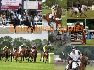 Equestrian Sports