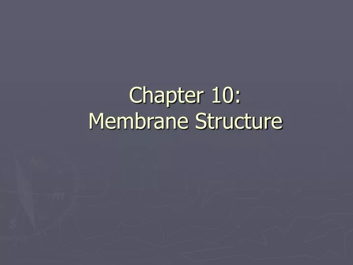chapter 10 membrane structure