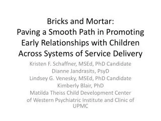 Bricks and Mortar: Paving a Smooth Path in Promoting Early Relationships with Children Across Systems of Service Delive