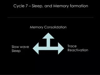 Cycle 7 – Sleep, and Memory formation