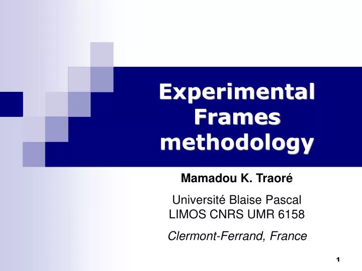 experimental frames methodology