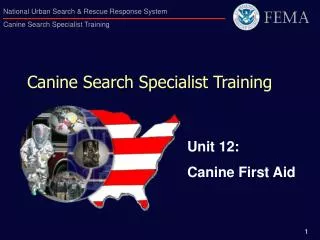 Canine Search Specialist Training