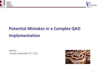 Potential Mistakes in a Complex QAD Implementation
