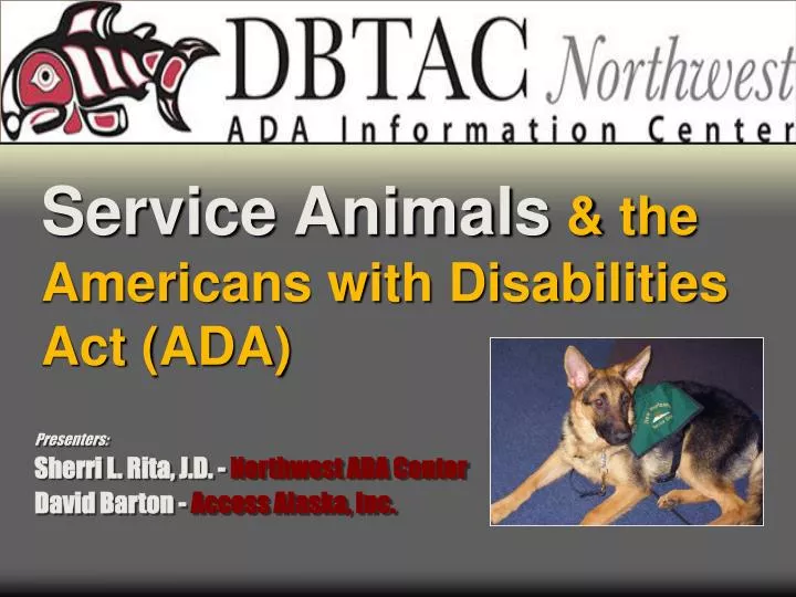 service animals the americans with disabilities act ada