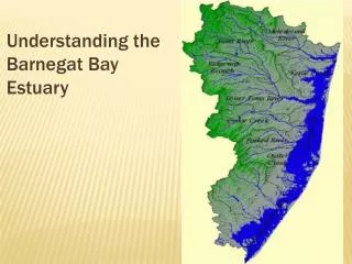 Understanding the Barnegat Bay Estuary