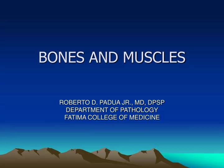 bones and muscles