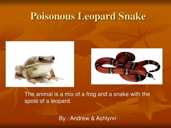 poisonous leopard snake