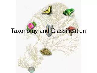 taxonomy and classification
