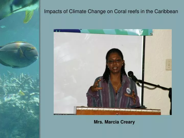 impacts of climate change on coral reefs in the caribbean