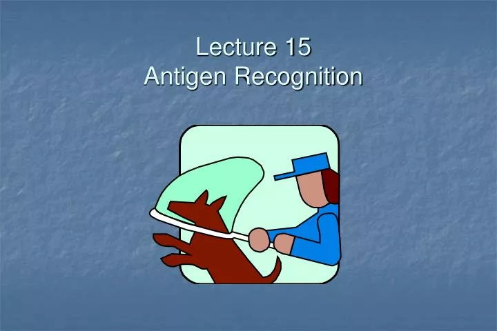 lecture 15 antigen recognition