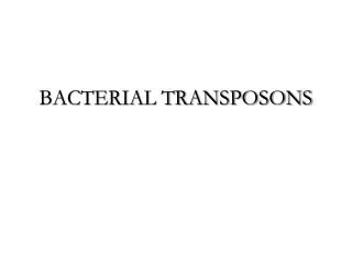 BACTERIAL TRANSPOSONS