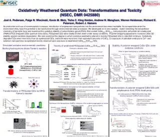 Oxidatively Weathered Quantum Dots: Transformations and Toxicity (NSEC, DMR 0425880)