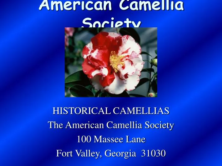 american camellia society