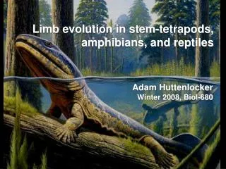 Limb evolution in stem-tetrapods, amphibians, and reptiles
