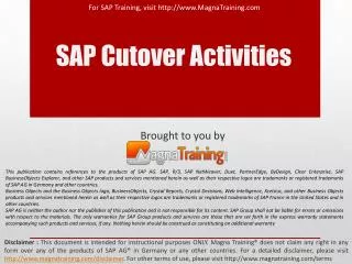 SAP Cutover Activities