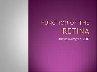 Function of the retina