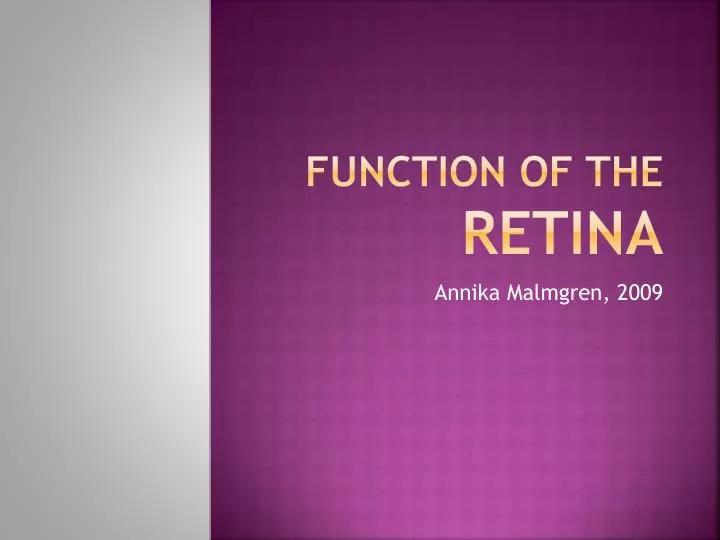 function of the retina