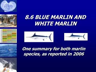 8.6 BLUE MARLIN AND WHITE MARLIN