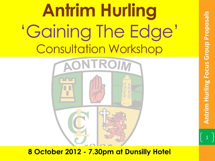 antrim hurling gaining the edge consultation workshop