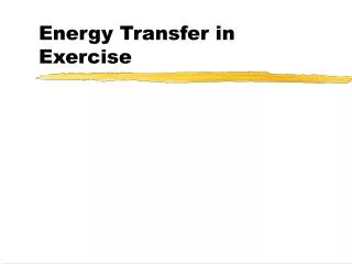 Energy Transfer in Exercise