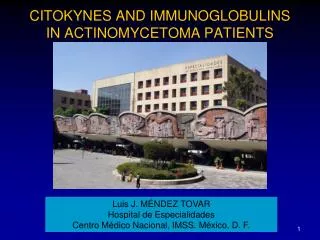 CITOKYNES AND IMMUNOGLOBULINS IN ACTINOMYCETOMA PATIENTS