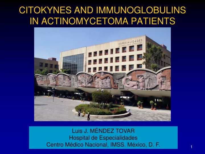 citokynes and immunoglobulins in actinomycetoma patients