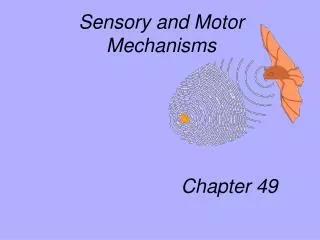 Sensory and Motor Mechanisms Chapter 49