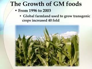 The Growth of GM foods