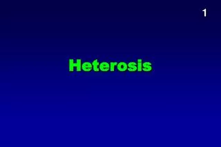 Heterosis