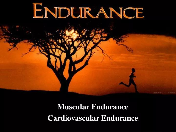 muscular endurance cardiovascular endurance