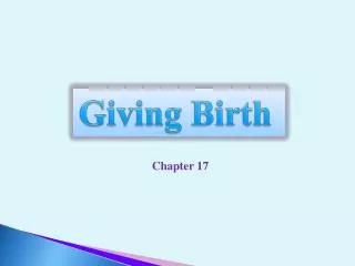 Chapter 17