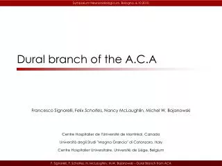 Dural branch of the A.C.A