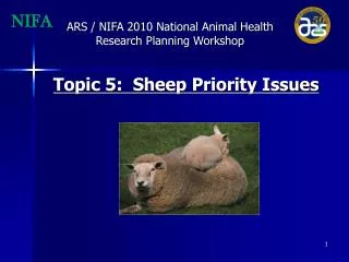 Priority: Research on bighorn/domestic sheep compatibility