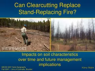 Can Clearcutting Replace Stand-Replacing Fire?