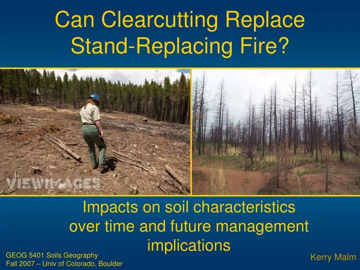 can clearcutting replace stand replacing fire