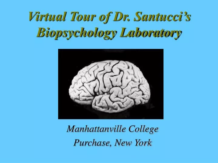 virtual tour of dr santucci s biopsychology laboratory