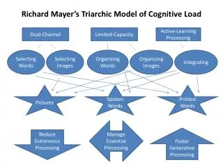 Richard Mayer’s Triarchic Model of Cognitive Load