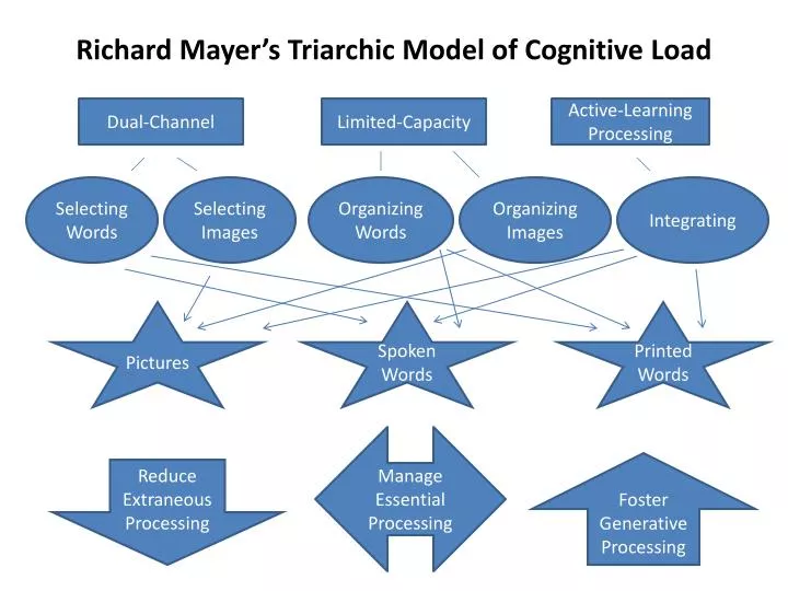 richard mayer s triarchic model of cognitive load