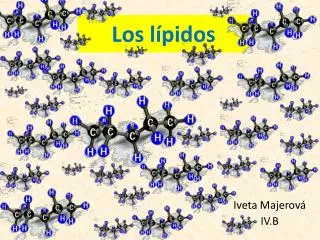 los l pidos