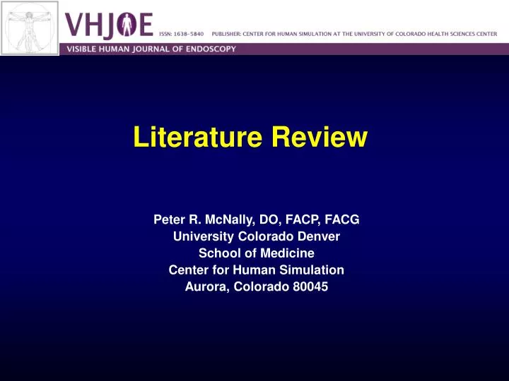 literature review