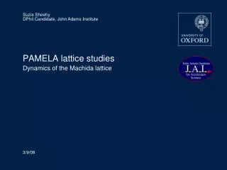 PAMELA lattice studies