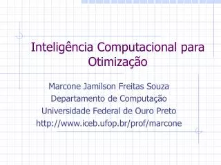 intelig ncia computacional para otimiza o