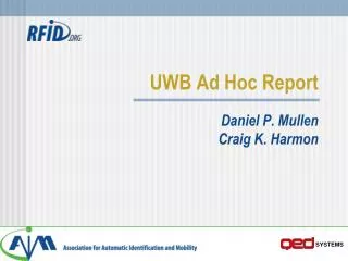 UWB Ad Hoc Report