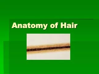 Anatomy of Hair
