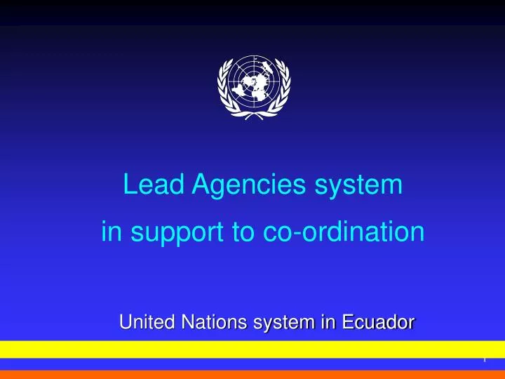 lead agencies system in support to co ordination