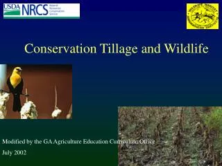 Conservation Tillage and Wildlife