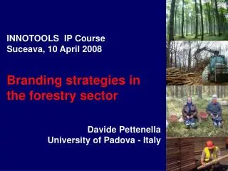 INNOTOOLS IP Course Suceava, 10 April 2008 Branding strategies in the forestry sector Davide Pettenella University of P