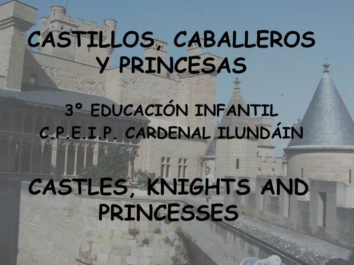 castillos caballeros y princesas