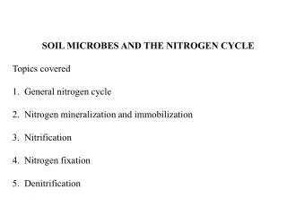 SOIL MICROBES AND THE NITROGEN CYCLE Topics covered 1. General nitrogen cycle 2. Nitrogen mineralization and immobiliz