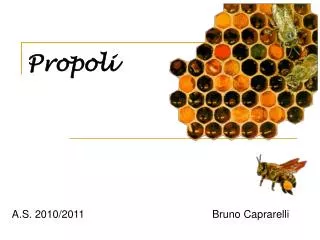 propoli